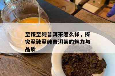 至臻至纯普洱茶怎么样，探究至臻至纯普洱茶的魅力与品质