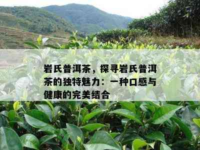 岩氏普洱茶，探寻岩氏普洱茶的特别魅力：一种口感与健康的完美结合