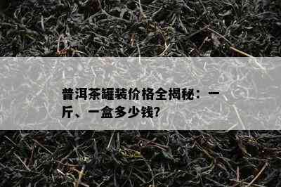 普洱茶罐装价格全揭秘：一斤、一盒多少钱？