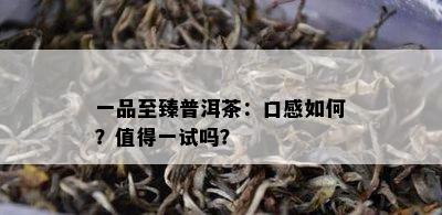 一品至臻普洱茶：口感如何？值得一试吗？