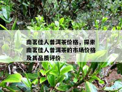 南茗佳人普洱茶价格，探索南茗佳人普洱茶的市场价格及其品质评价