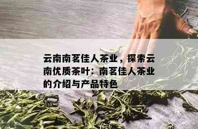 云南南茗佳人茶业，探索云南优质茶叶：南茗佳人茶业的介绍与产品特色