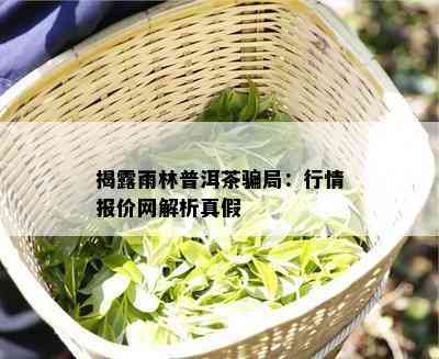 揭露雨林普洱茶骗局：行情报价网解析真假