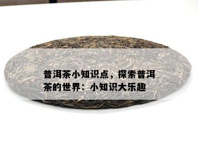 普洱茶小知识点，探索普洱茶的世界：小知识大乐趣