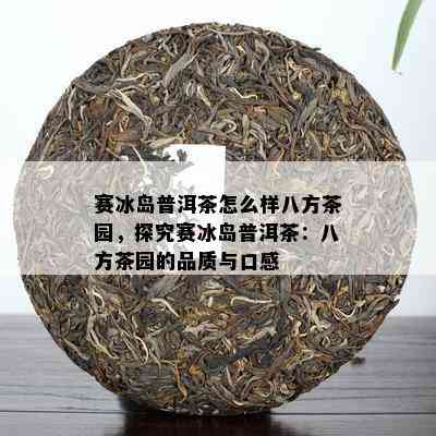 赛冰岛普洱茶怎么样八方茶园，探究赛冰岛普洱茶：八方茶园的品质与口感