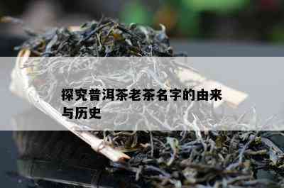 探究普洱茶老茶名字的由来与历史