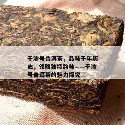 千瀹号普洱茶，品味千年历史，领略特别韵味——千瀹号普洱茶的魅力探究