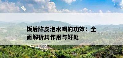 饭后陈皮泡水喝的功效：全面解析其作用与好处