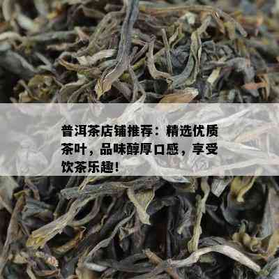 普洱茶店铺推荐：精选优质茶叶，品味醇厚口感，享受饮茶乐趣！