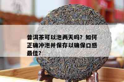 普洱茶可以泡两天吗？如何正确冲泡并保存以确保口感更佳？