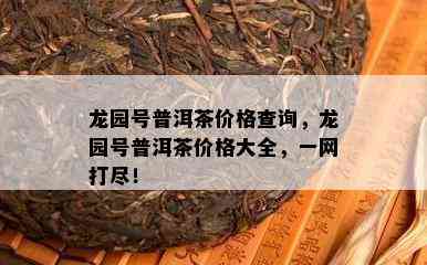 龙园号普洱茶价格查询，龙园号普洱茶价格大全，一网打尽！