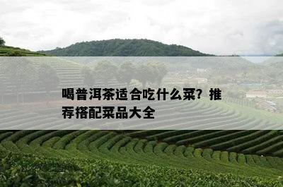 喝普洱茶适合吃什么菜？推荐搭配菜品大全