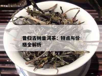 昔归古树普洱茶：特点与价格全解析