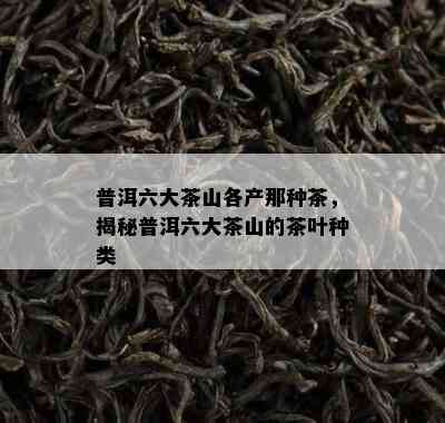 普洱六大茶山各产那种茶，揭秘普洱六大茶山的茶叶种类