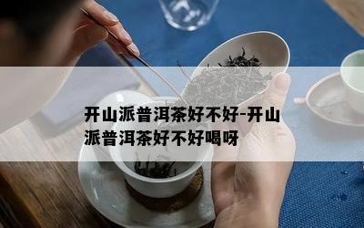 开山派普洱茶好不好-开山派普洱茶好不好喝呀