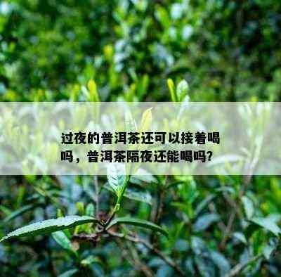 过夜的普洱茶还可以接着喝吗，普洱茶隔夜还能喝吗？