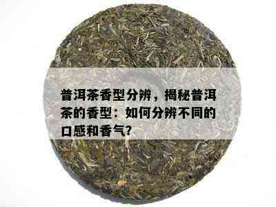 普洱茶香型分辨，揭秘普洱茶的香型：如何分辨不同的口感和香气？