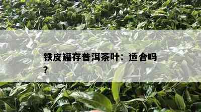 铁皮罐存普洱茶叶：适合吗？