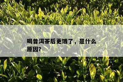 喝普洱茶后更饿了，是什么起因？