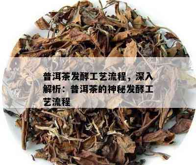 普洱茶发酵工艺流程，深入解析：普洱茶的神秘发酵工艺流程