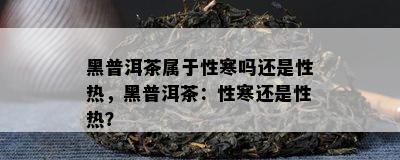 黑普洱茶属于性寒吗还是性热，黑普洱茶：性寒还是性热？