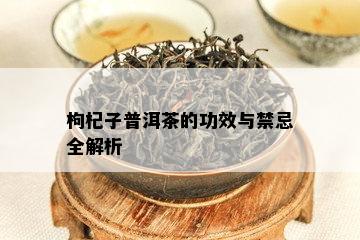 枸杞子普洱茶的功效与禁忌全解析