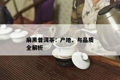 麻黑普洱茶：产地、与品质全解析