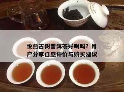 悦燕古树普洱茶好喝吗？客户分享口感评价与购买建议