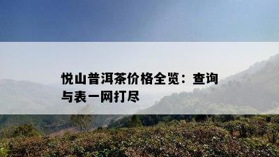 悦山普洱茶价格全览：查询与表一网打尽