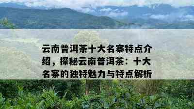 云南普洱茶十大名寨特点介绍，探秘云南普洱茶：十大名寨的独特魅力与特点解析