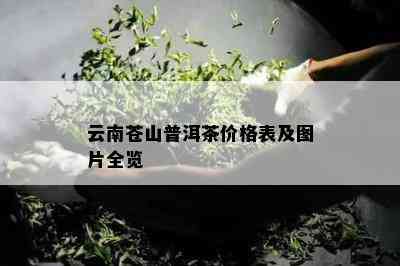 云南苍山普洱茶价格表及图片全览