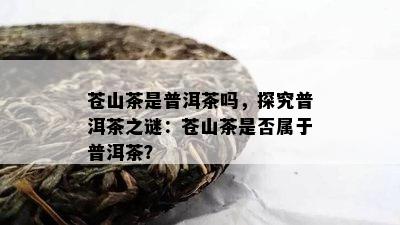 苍山茶是普洱茶吗，探究普洱茶之谜：苍山茶是不是属于普洱茶？