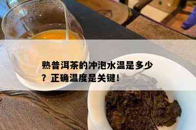 熟普洱茶的冲泡水温是多少？正确温度是关键！