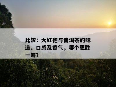 比较：大红袍与普洱茶的味道、口感及香气，哪个更胜一筹？