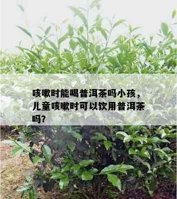 咳嗽时能喝普洱茶吗小孩，儿童咳嗽时可以饮用普洱茶吗？