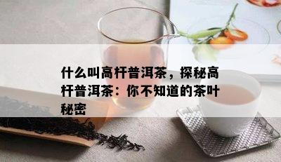 什么叫高杆普洱茶，探秘高杆普洱茶：你不知道的茶叶秘密