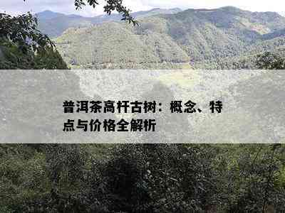 普洱茶高杆古树：概念、特点与价格全解析