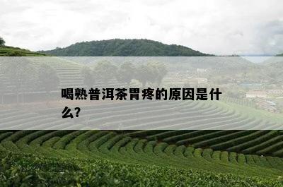 喝熟普洱茶胃疼的起因是什么？