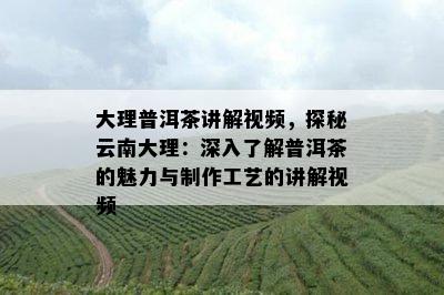 大理普洱茶讲解视频，探秘云南大理：深入熟悉普洱茶的魅力与制作工艺的讲解视频