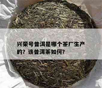 兴荣号普洱是哪个茶厂生产的？该普洱茶怎样？