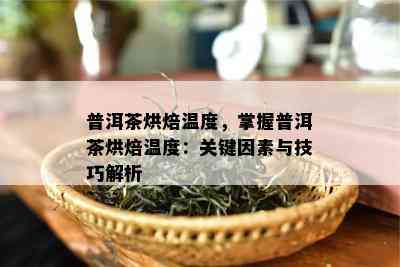 普洱茶烘焙温度，掌握普洱茶烘焙温度：关键因素与技巧解析