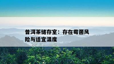 普洱茶储存室：存在霉菌风险与适宜温度