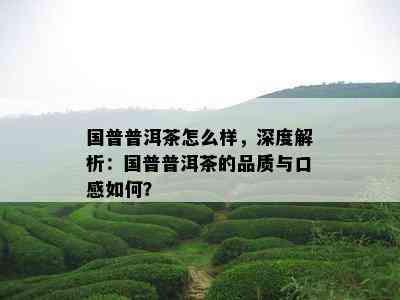 国普普洱茶怎么样，深度解析：国普普洱茶的品质与口感怎样？