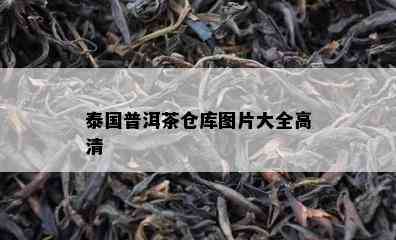 泰国普洱茶仓库图片大全高清