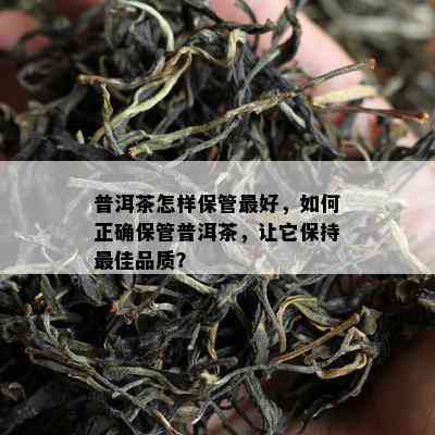 普洱茶怎样保管更好，如何正确保管普洱茶，让它保持更佳品质？