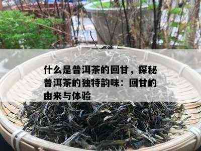 什么是普洱茶的回甘，探秘普洱茶的独特韵味：回甘的由来与体验