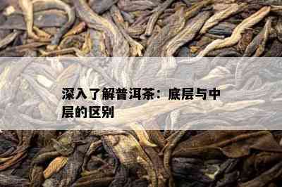 深入熟悉普洱茶：底层与中层的区别