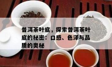 普洱茶叶底，探索普洱茶叶底的秘密：口感、色泽与品质的奥秘