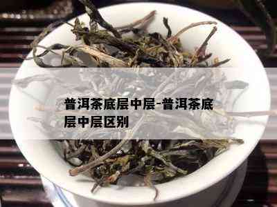 普洱茶底层中层-普洱茶底层中层区别