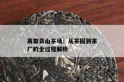 高黎贡山茶场：从茶园到茶厂的全过程解析